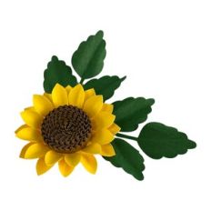 Realistic Sunflower with foliage