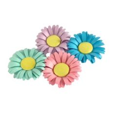Daisy Flower