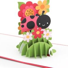 A2 Sliceform Pop Up Card Spring Ladybug