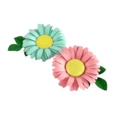 Daisy Flower With foliage