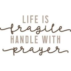 Life is Fragile