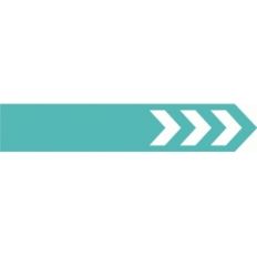 echo park arrow tab