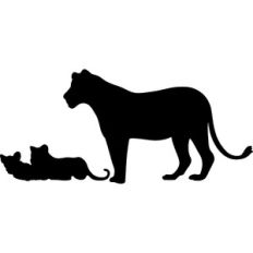 lioness cubs silhouette