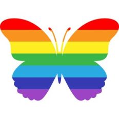 rainbow butterfly