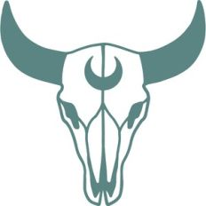 cow skull with moon