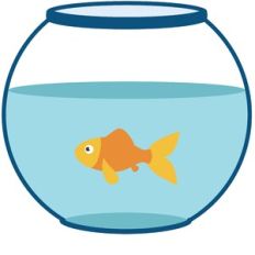 Fish Bowl