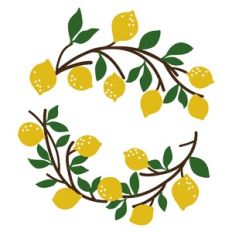 Lemon Frame