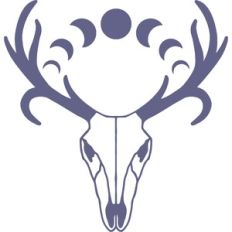 deer skull with moon phases