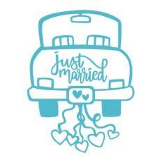 Just Married Wedding Car