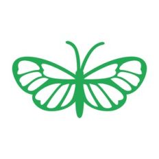 Butterfly 10