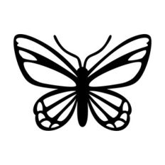 Butterfly 12