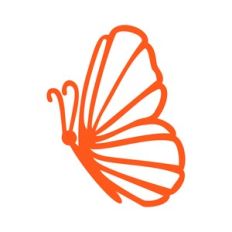 Butterfly 13