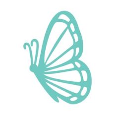 Butterfly 14