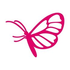 Butterfly 16