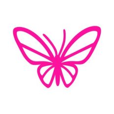 Butterfly 17