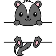 Split Skunk Name Frame