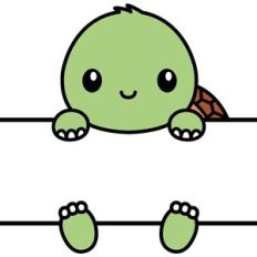 Split Turtle Name Frame