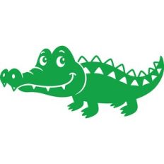 Alligator
