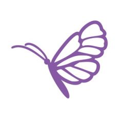 Butterfly 15