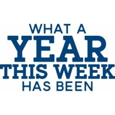 What A Year