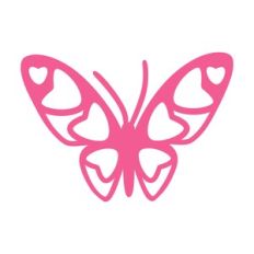 Butterfly 19