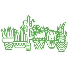 cactus border