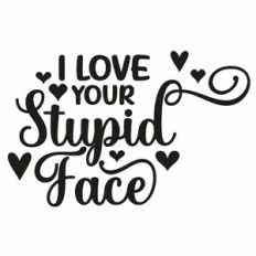 I Love Your Stupid Face Quote