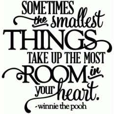 sometimes the smallest things - room in your heart - vinyl phrase
