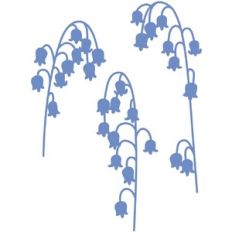Bluebell Flower Stalks