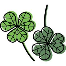 shamrocks