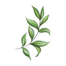 Branch print and cut