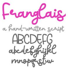 ZP Franglais Bold