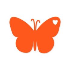 Butterfly 23