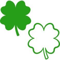 Shamrock