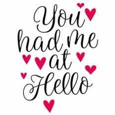 You Had Me At Hello Quote