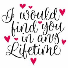 I Would Find You In Any Lifetime Quote