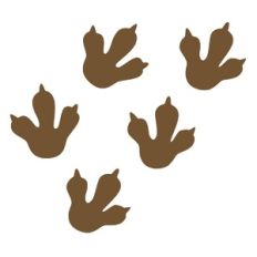 Dino Tracks