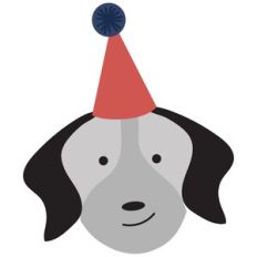 Birthday Dog