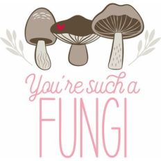 Fungi