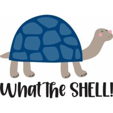 What the Shell