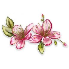 Watercolor Spring Flowers