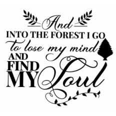 And into the forest, I go to lose my mind and find my soul