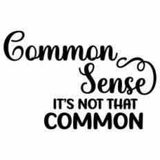Common Sense - It's Not That Common