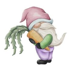Gnome with carrot
