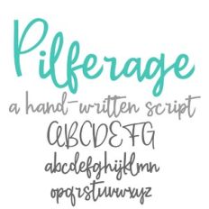 PN Pilferage