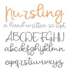 ZP Nursling