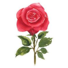 Romantic Red Watercolor Rose Print and Cut