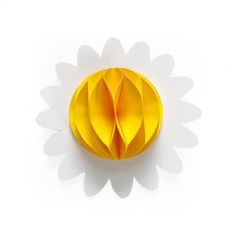 Honeycomb Daisy Flower