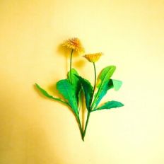 Dandelion 3D Flower