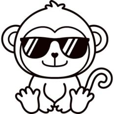 Monkey With Sunglasses
